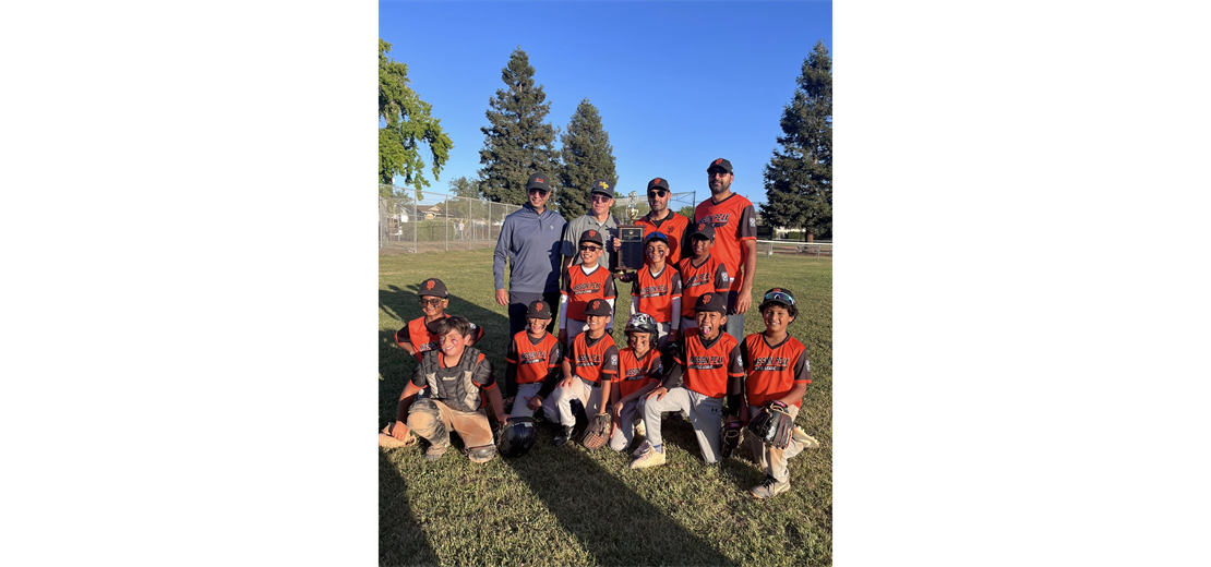 Mission Peak Little League Champions